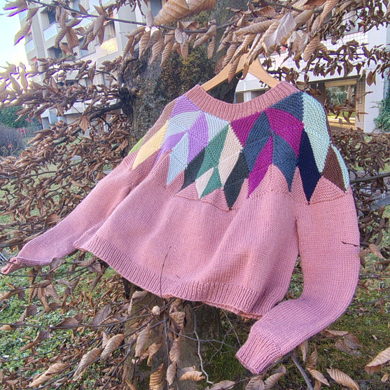 Intarsia - Maglione
2