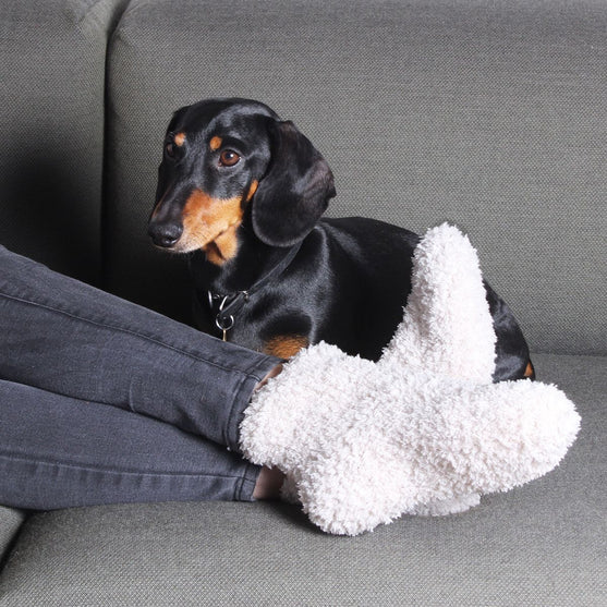 Calzini Cozy
2