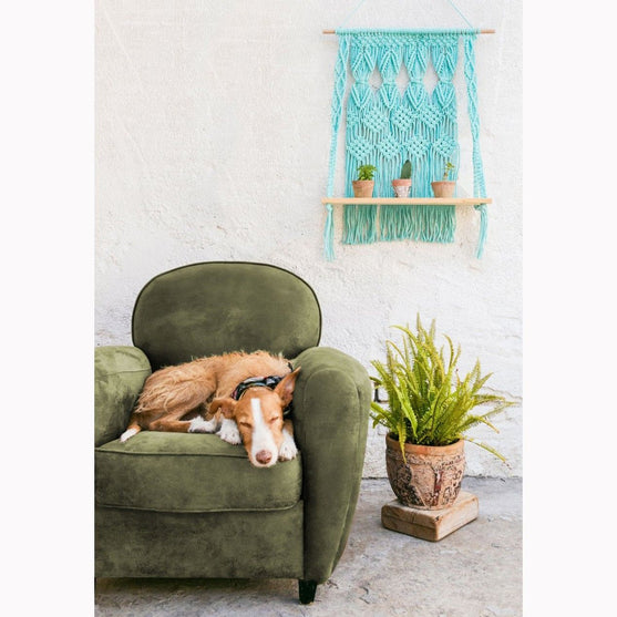 Nova Vita 12 - 22 home decor projects - DMC
2