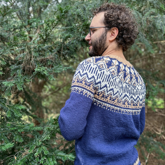 Arctic Starry Night - Unisex Maglione
2