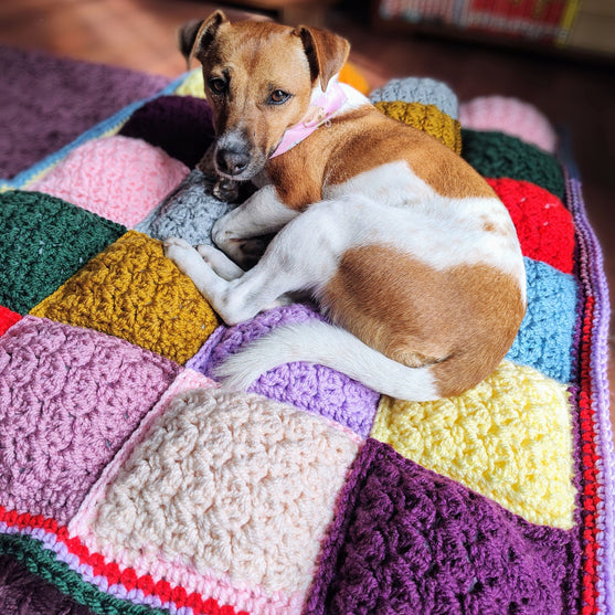 Soft Squares - Plaid Imbottito
6