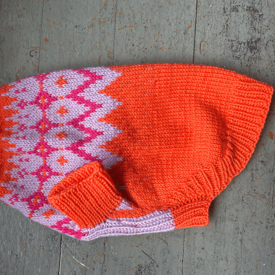 Bichon Havanais - Maglione per cani
4