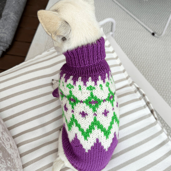 Chihuahua - Maglione per cani
2