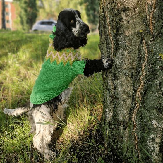 Cocker Spaniel - Maglione per cani
3