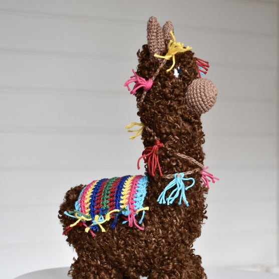 L’alpaca Pico
8