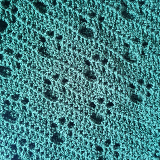 Paw Prints - Coperta
3