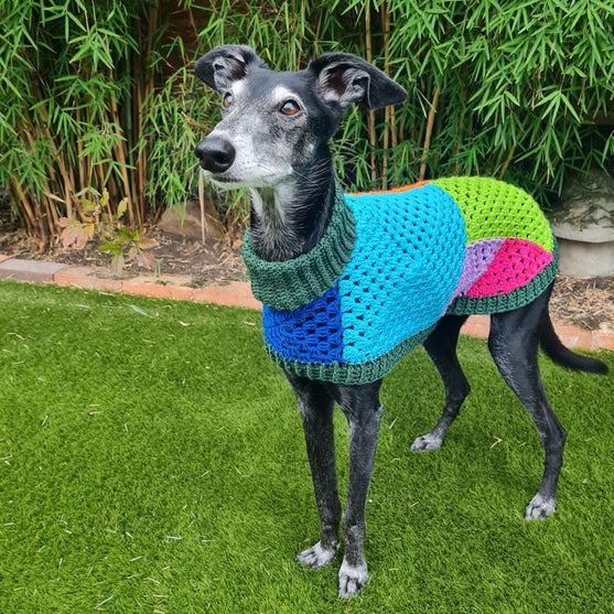 Wally - Maglione per cani
4