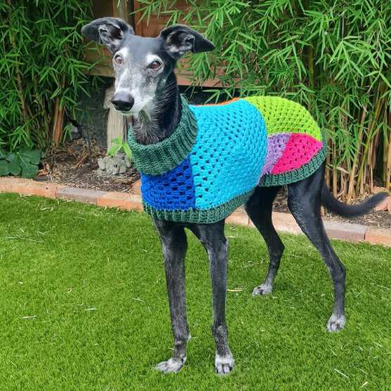 Wally - Maglione per cani
3