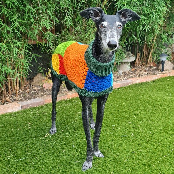 Wally - Maglione per cani
2