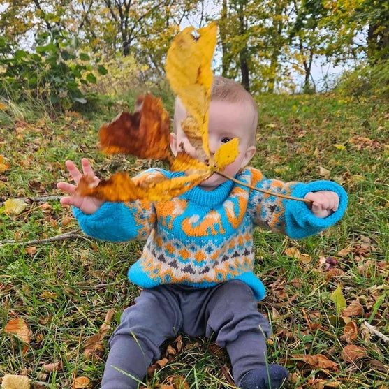Happy Fox - Maglione per bambini
2