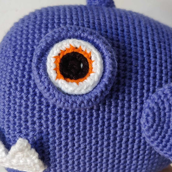 Rana pescatrice
3