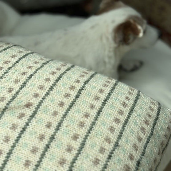 Homebody - Federa per cuscino
4