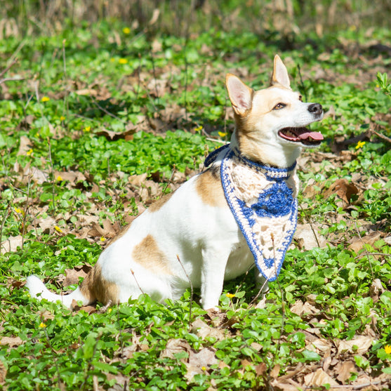 Gina - Bandana per cani
2
