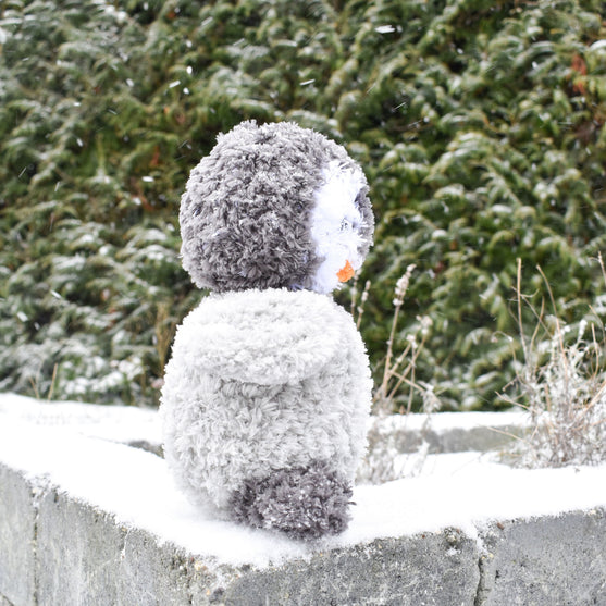 Il pinguino Pippo
3