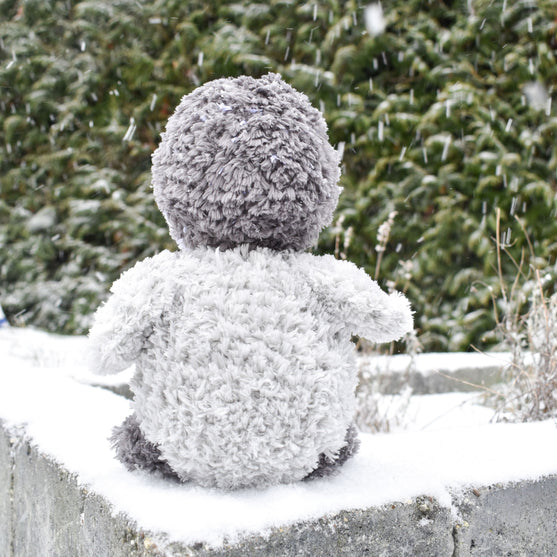 Il pinguino Pippo
4