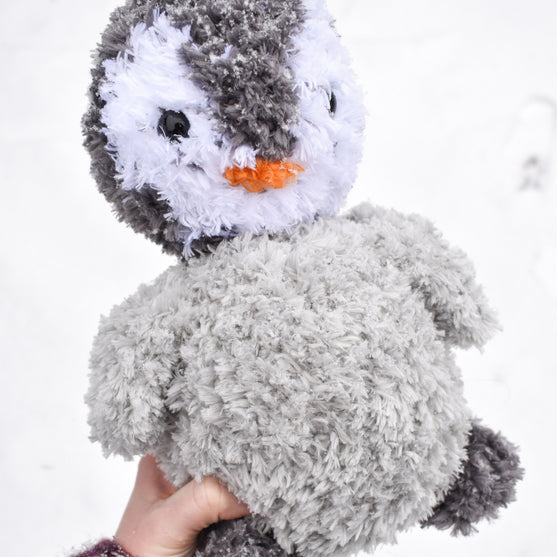 Il pinguino Pippo
2