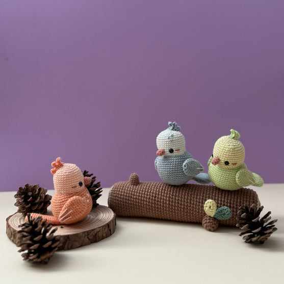 Spring Birds
5