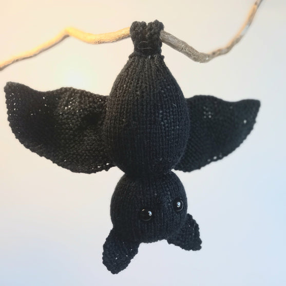 Pipistrello Bernard
4