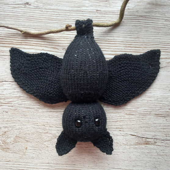 Pipistrello Bernard
3