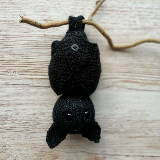 Pipistrello Bernard
2