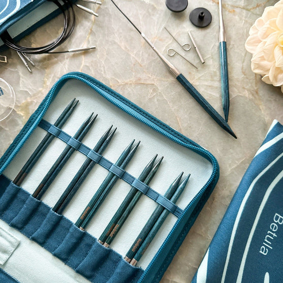 Set ferri circolari intercambiabili Betula Deluxe - Cerulean - Hobbii
10
