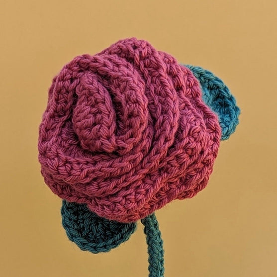 Rosa
2