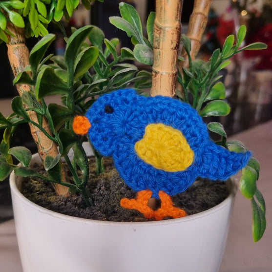 Pipito l'uccello - Decorazioni
2