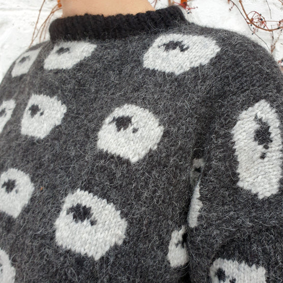 Dolly Sheep - Maglione
4