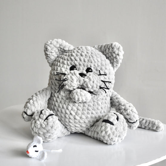 Il gatto Misse
4