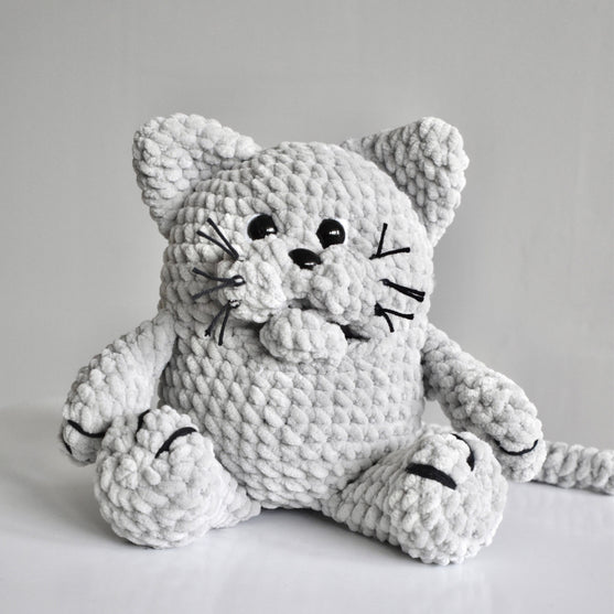Il gatto Misse
3