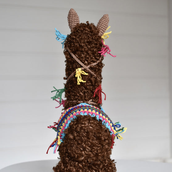 L’alpaca Pico
9