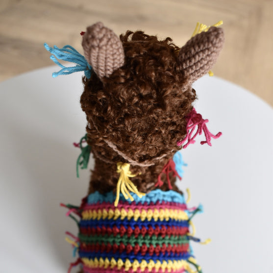 L’alpaca Pico
10