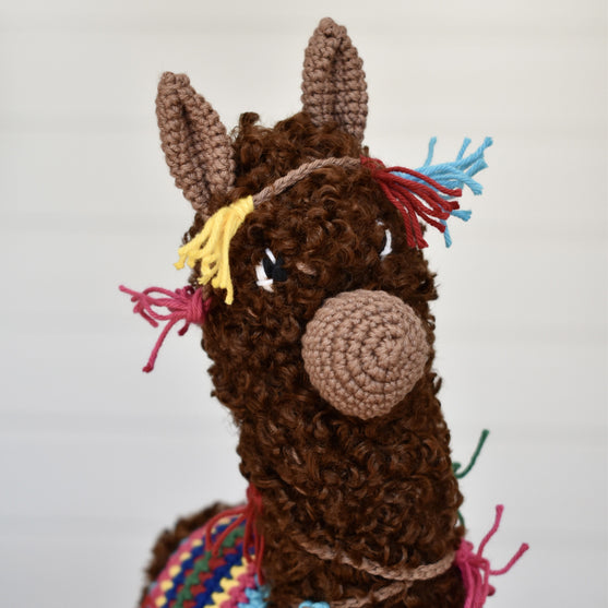 L’alpaca Pico
6