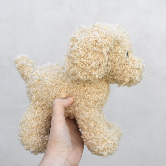 Doodle Dog
7