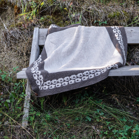 Back to Sleep - Coperta
2