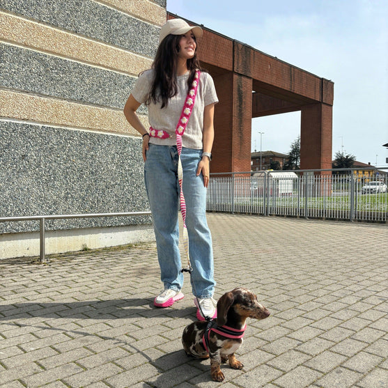 Lacy - Guinzaglio a Mani Libere
3