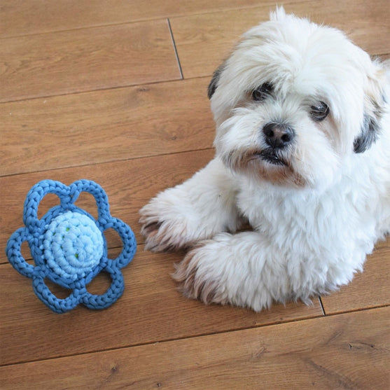 Fiore - Giocattolo per cani
2