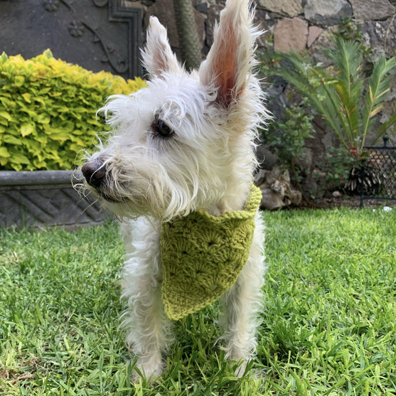 Cuddly Wrap - Bandana per cane
4
