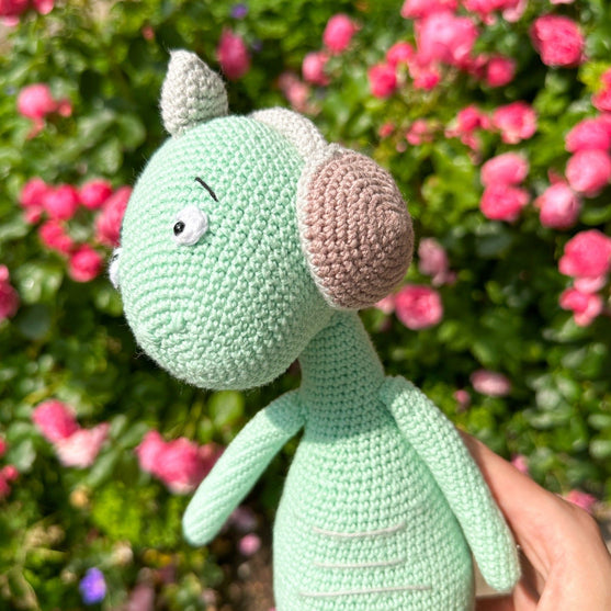 Safi il Dinosauro
4