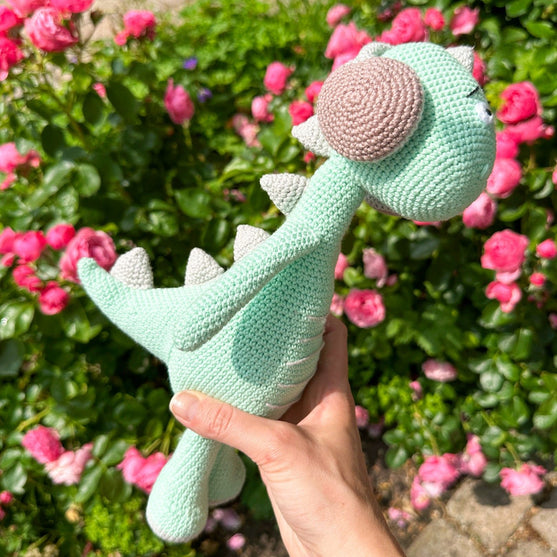 Safi il Dinosauro
5