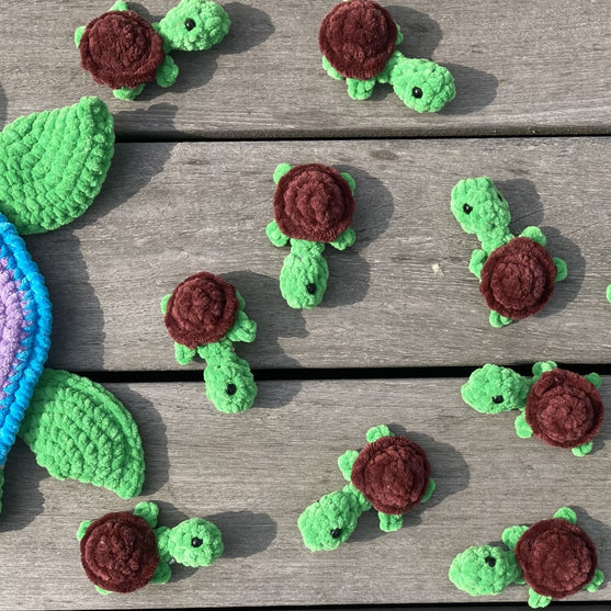 Rainbow Turtles - Gioco Memory
8