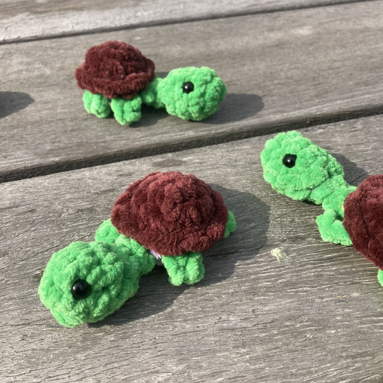 Rainbow Turtles - Gioco Memory
11