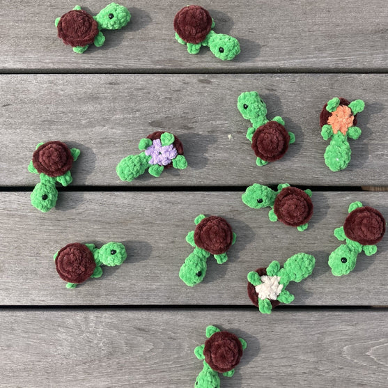 Rainbow Turtles - Gioco Memory
9