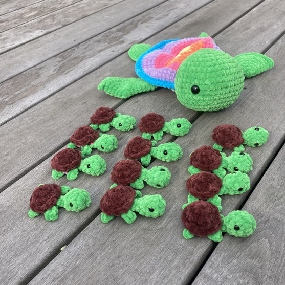 Rainbow Turtles - Gioco Memory
2