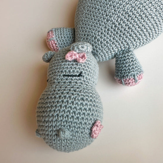 Fiona Hippo - Copertina delle coccole
2