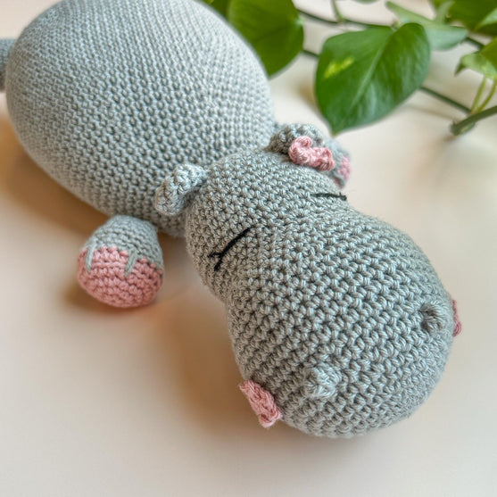 Fiona Hippo - Copertina delle coccole
4
