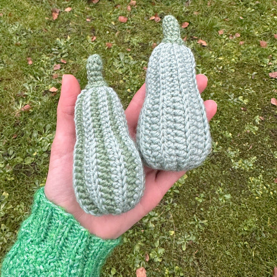 Zucche decorative - Lunghe
6