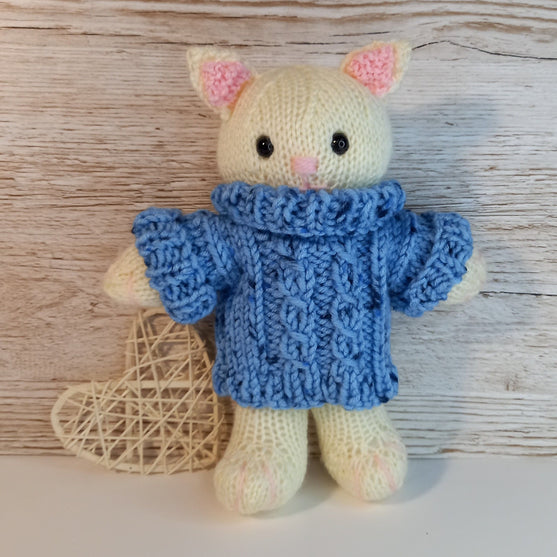 Kitten in Sweater
2