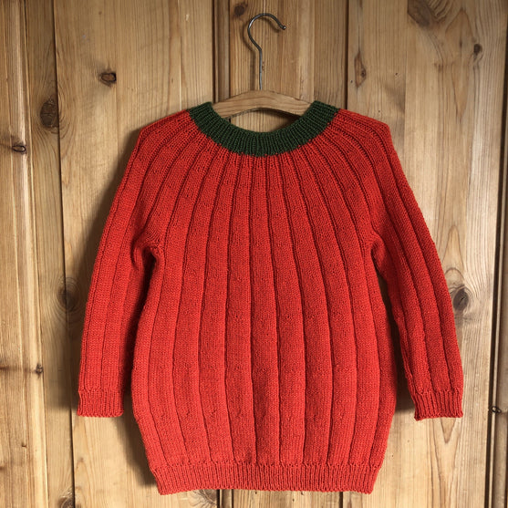 Il vestito di zucca
3