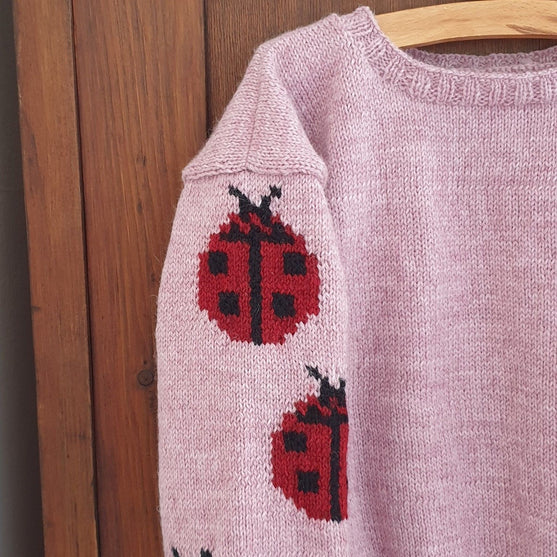 Ladybug - Maglione per bambine
3